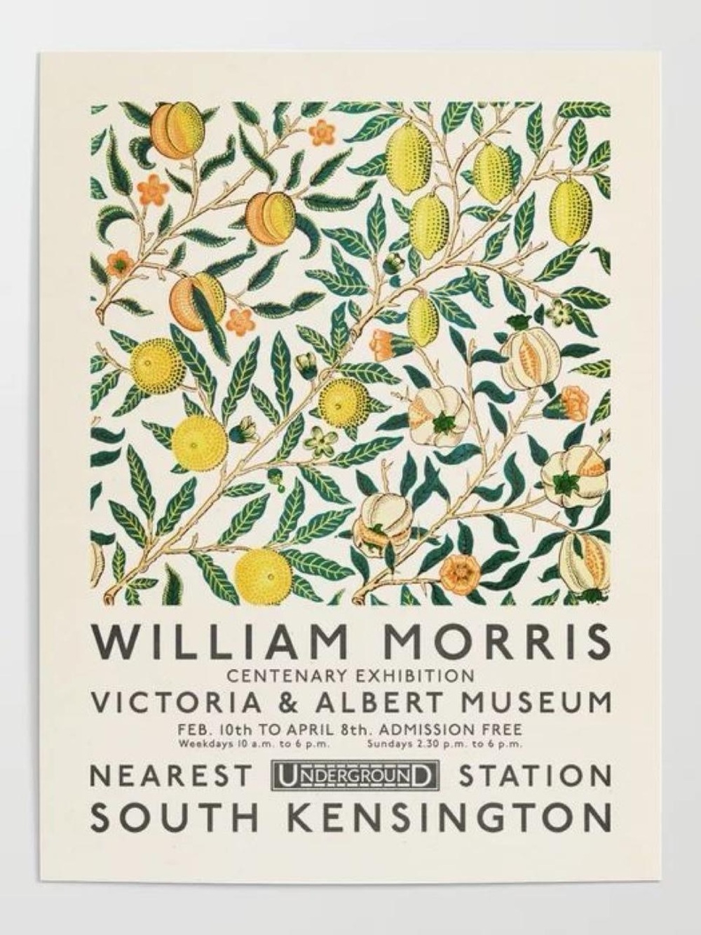 William Morris Yellow Lemons Art Exhibition Print Poster 30x40” Botanical Art